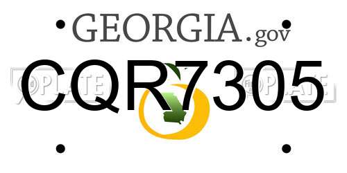 CQR7305 Georgia License Plate
