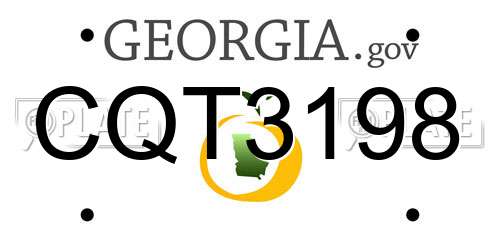 CQT3198 Georgia License Plate