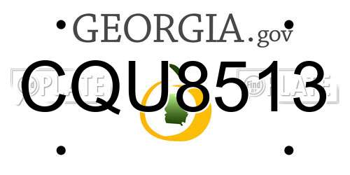 CQU8513 Georgia License Plate