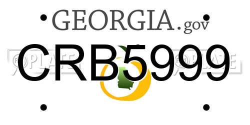CRB5999 Georgia License Plate
