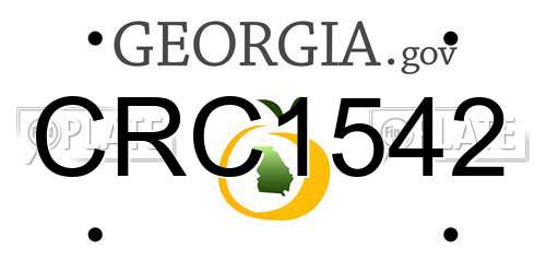 CRC1542 Georgia License Plate
