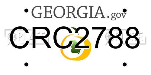 CRC2788 Georgia License Plate