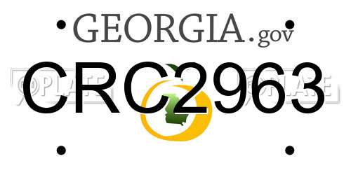 CRC2963 Georgia License Plate