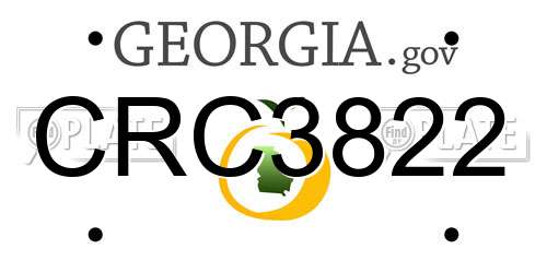 CRC3822 Georgia License Plate