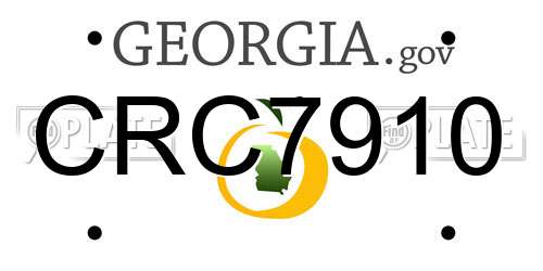 CRC7910 Georgia License Plate