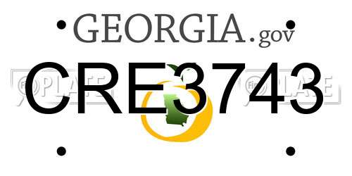 CRE3743 Georgia License Plate