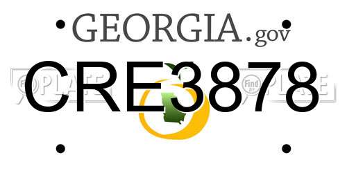 CRE3878 Georgia License Plate