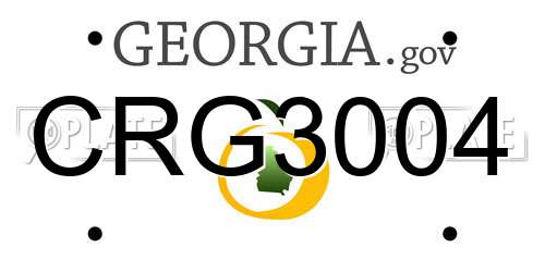 CRG3004 Georgia License Plate