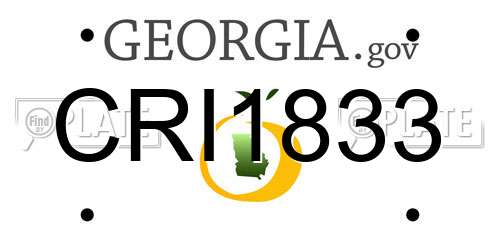 CRI1833 Georgia License Plate