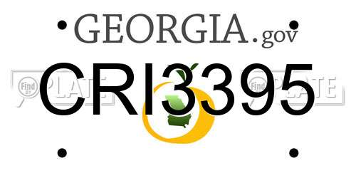 CRI3395 Georgia License Plate