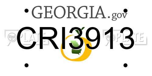 CRI3913 Georgia License Plate