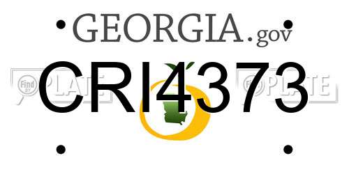 CRI4373 Georgia License Plate