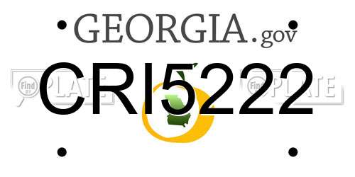 CRI5222 Georgia License Plate