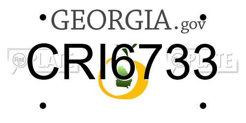 CRI6733 Georgia License Plate