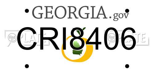 CRI8406 Georgia License Plate