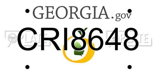 CRI8648 Georgia License Plate