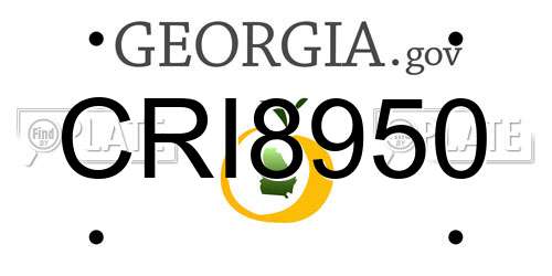 CRI8950 Georgia License Plate