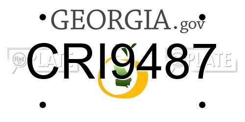 CRI9487 Georgia License Plate