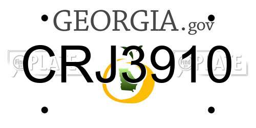 CRJ3910 Georgia License Plate