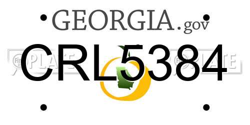 CRL5384 Georgia License Plate