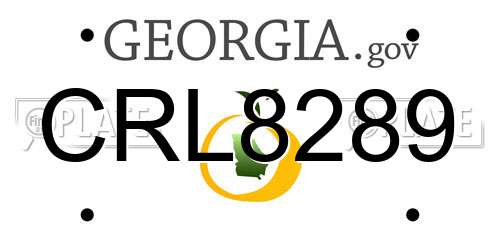 CRL8289 Georgia License Plate