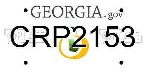 CRP2153 Georgia License Plate