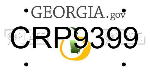 CRP9399 Georgia License Plate