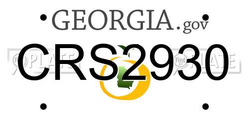 CRS2930 Georgia License Plate