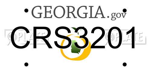 CRS3201 Georgia License Plate
