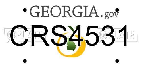 CRS4531 Georgia License Plate