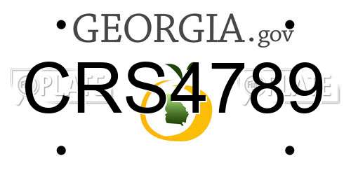CRS4789 Georgia License Plate