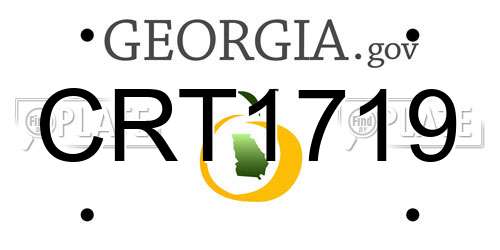 CRT1719 Georgia License Plate