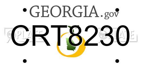 CRT8230 Georgia License Plate