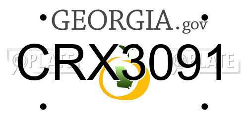 CRX3091 Georgia License Plate