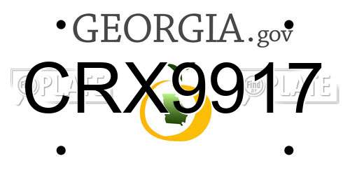 CRX9917 Georgia License Plate