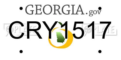 CRY1517 Georgia License Plate