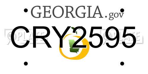 CRY2595 Georgia License Plate