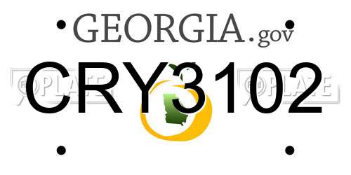 CRY3102 Georgia License Plate