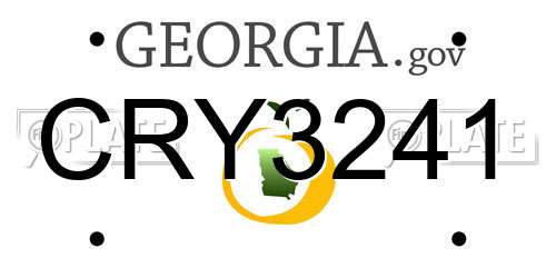 CRY3241 Georgia License Plate