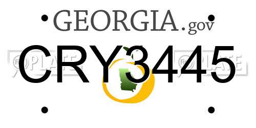 CRY3445 Georgia License Plate