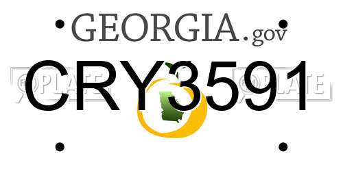 CRY3591 Georgia License Plate