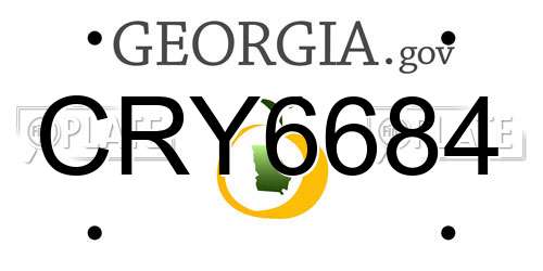 CRY6684 Georgia License Plate
