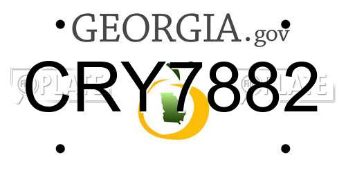 CRY7882 Georgia License Plate