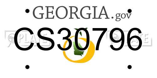 CS30796 Georgia License Plate
