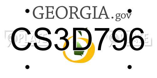 CS3D796 Georgia License Plate