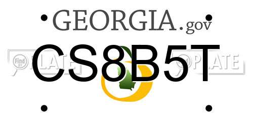 CS8B5T Georgia License Plate