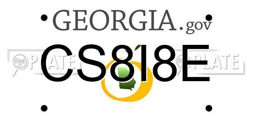 CS8I8E Georgia License Plate