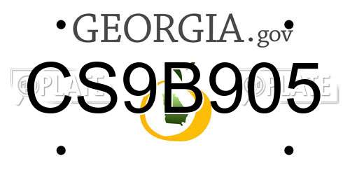 CS9B905 Georgia License Plate