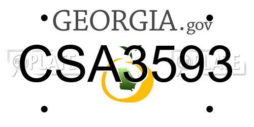 CSA3593 Georgia License Plate