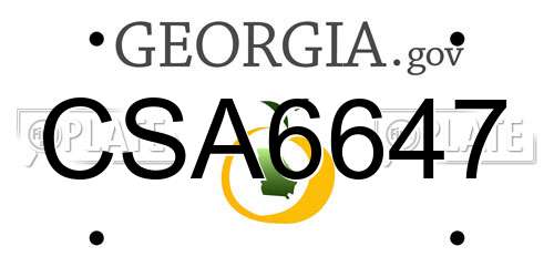 CSA6647 Georgia License Plate